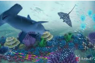 ayx手机版登录入口免费版