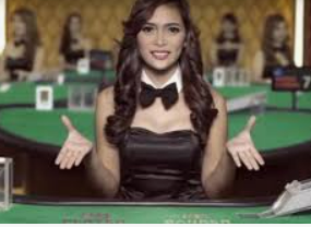 ayx手机版登录入口2024最新版